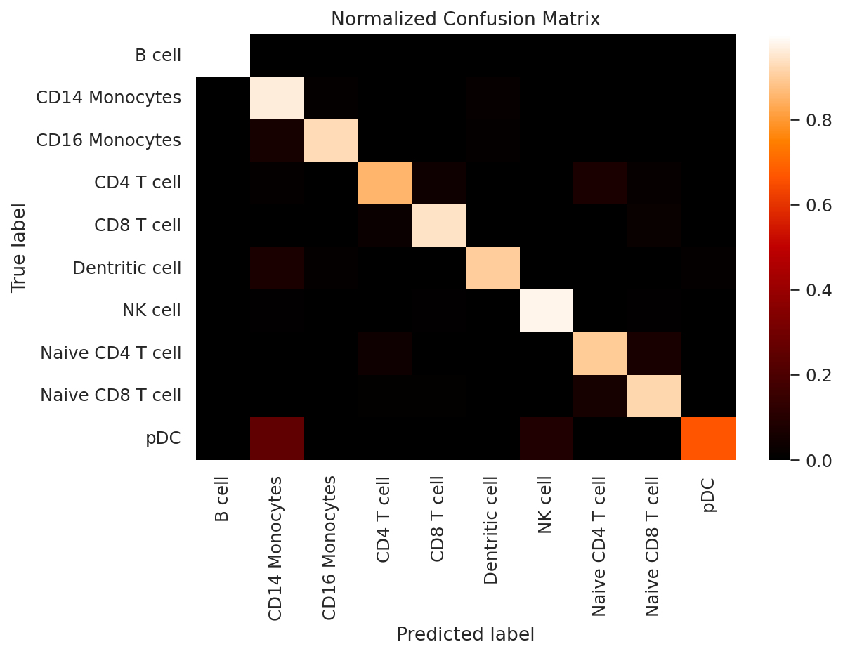 _images/cell_label_transfer_15_0.png
